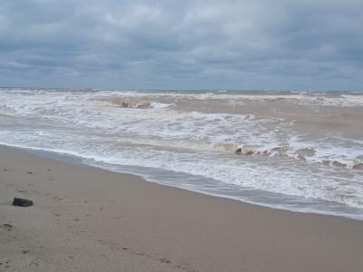 Прикрепленное изображение: Resizer_16808959786731.jpeg